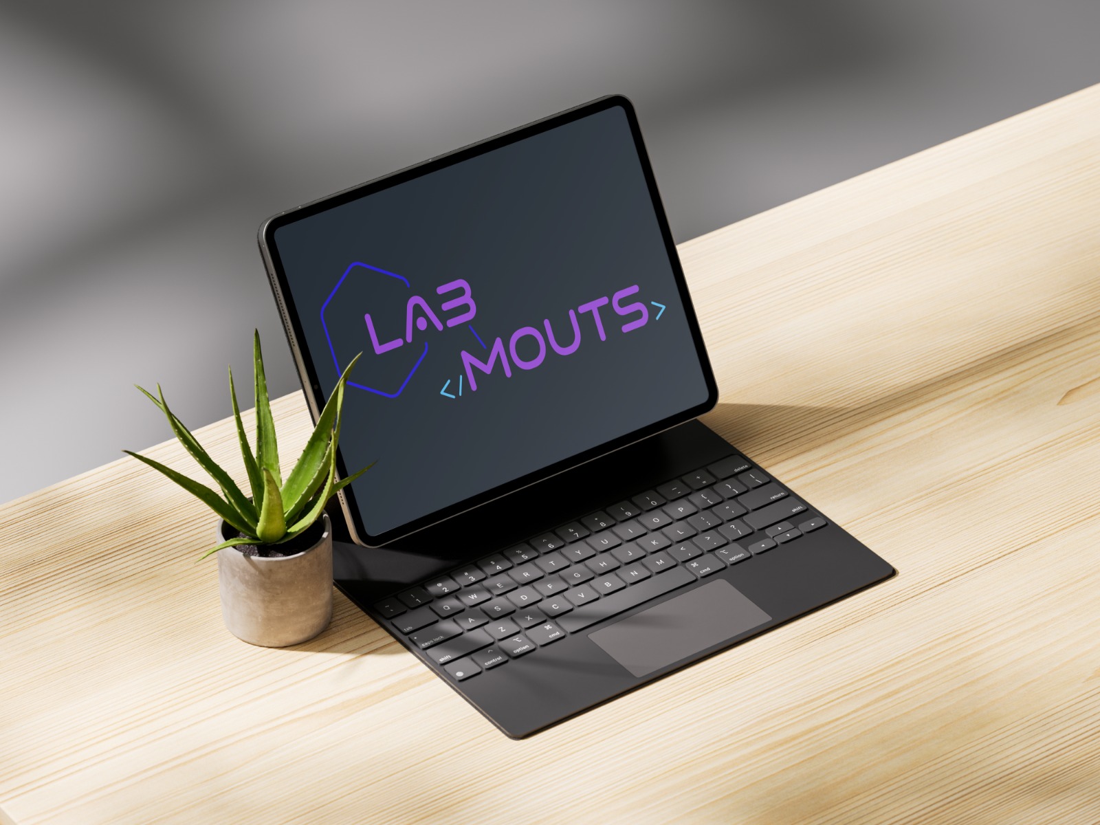 Lab Mouts